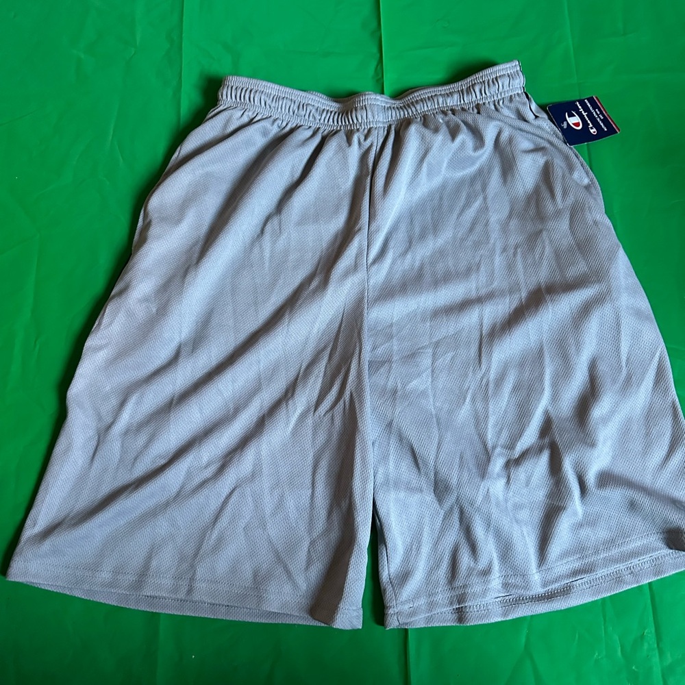 BUNDLE 2 Men’s Athletic Shorts Champion and Nike 2XL